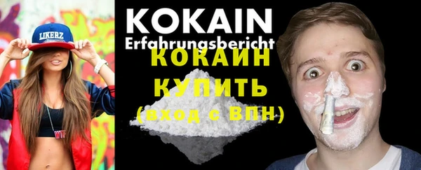 spice Новодвинск