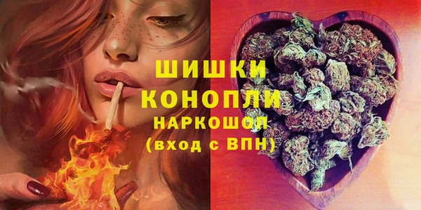 ГАЛЛЮЦИНОГЕННЫЕ ГРИБЫ Вязники