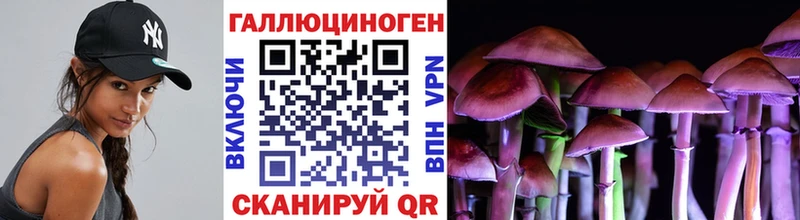 Псилоцибиновые грибы GOLDEN TEACHER  купить закладку  MEGA ССЫЛКА  Заинск 